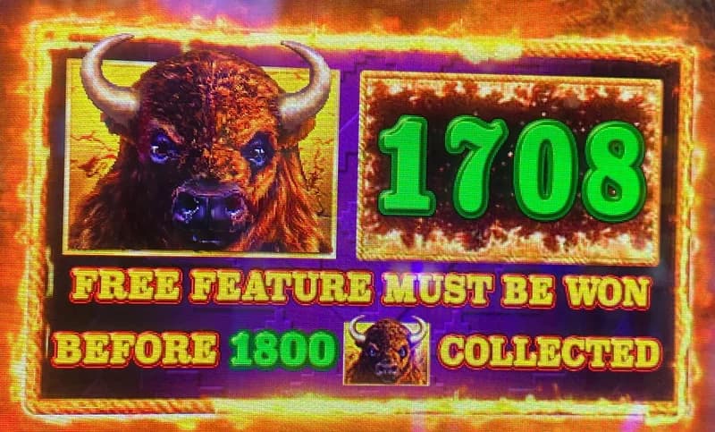 Buffalo Link's green feature counter and printed must-hit-by limit.