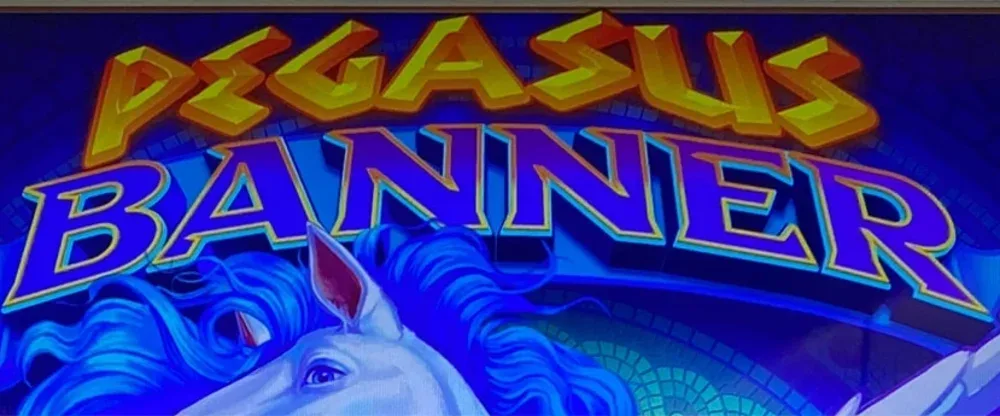 Pegasus Banner