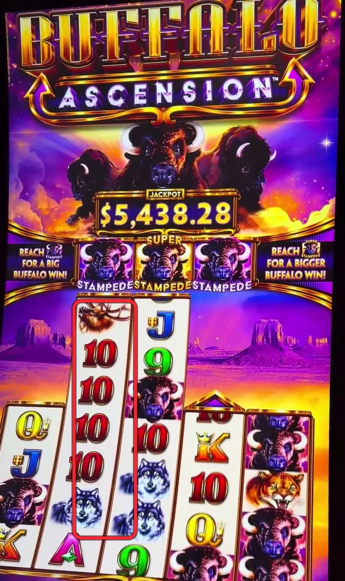 Red ring: reel 2 stretched a full extra-tall stack above the outer reels — the tallest middle reel, one arrow from firing the reel-top bonus. Three Super Stampede prizes are still lit on top.