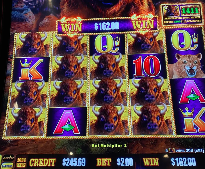 Line hits can occasionally pay out handsomely, even on lower bets.