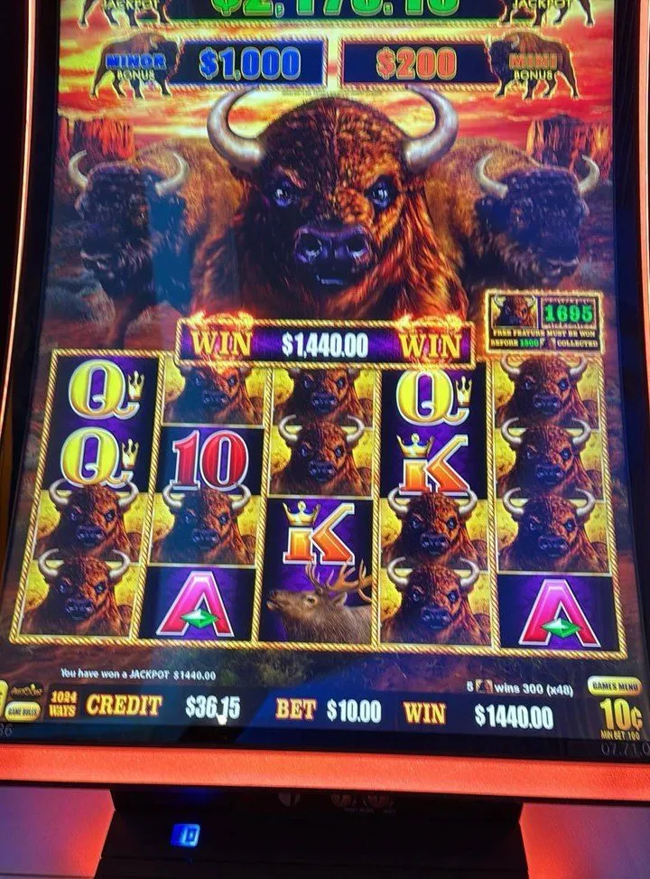 Real advantage play win — $1,440 Buffalo Link handpay off a $10 bet, counter at 1,695