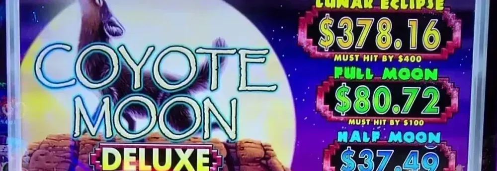 Coyote Moon Deluxe