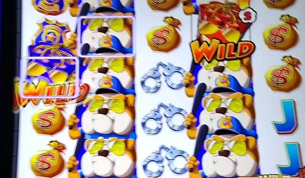 Wild Explosion: Get‘Cha Reward