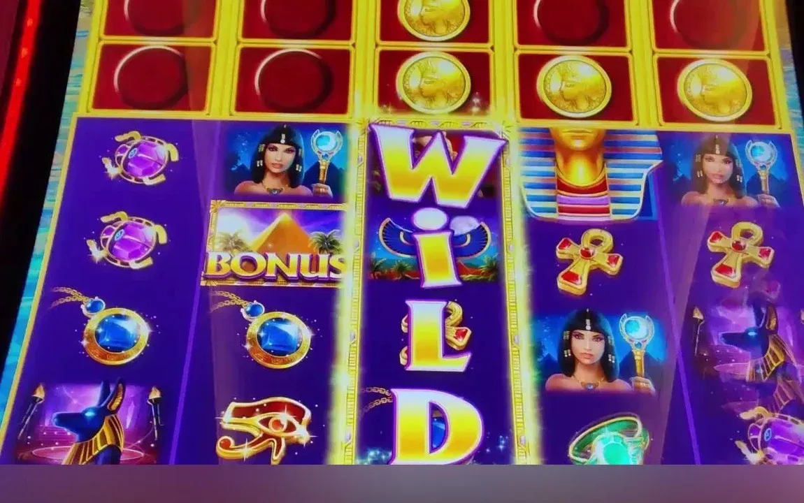 What loaded holders deliver: a full WILD reel live alongside a BONUS symbol, with coins still banked above for the next reels in line. Sitting on a machine whose holders are already carrying coins drops you straight into high-value wild spins instead of paying to build them from empty.
