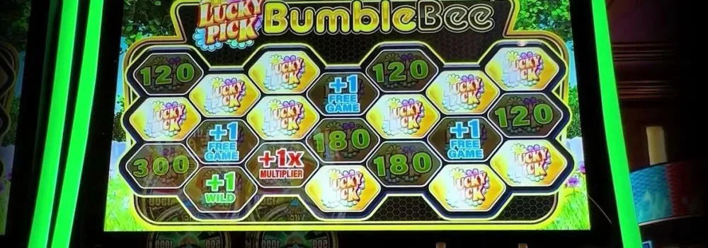 Lucky Pick: Bumble Bee