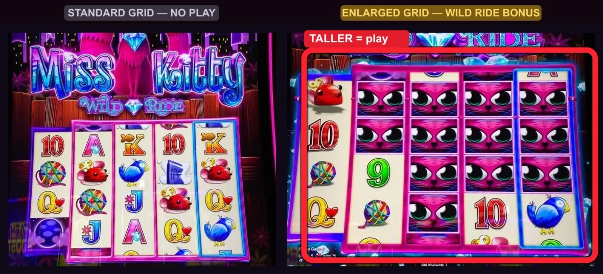 Side by side, the tell is obvious: LEFT is the standard compact grid (logo on top, short reels — no play); RIGHT, inside the red ring, is the Wild Ride Bonus — the same reels grown visibly TALLER and packed with stacked kitty wilds. Taller grid = play; compact grid = keep walking.