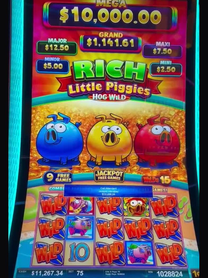 Advantage play win — $10,288